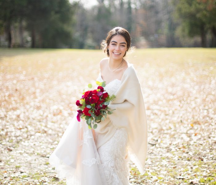 Abby Bridal Portraits | Colonial Williamsburg Wedding Photographer